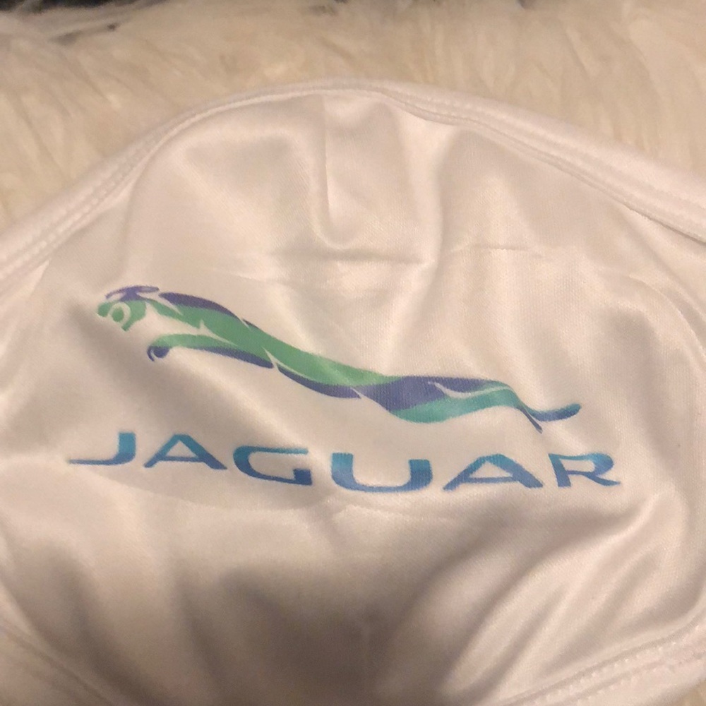 Jaguar 🐆 😷 - Picture 2 of 2